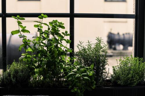 restauracja coolturalna-montownia 013